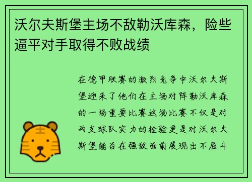 沃尔夫斯堡主场不敌勒沃库森，险些逼平对手取得不败战绩